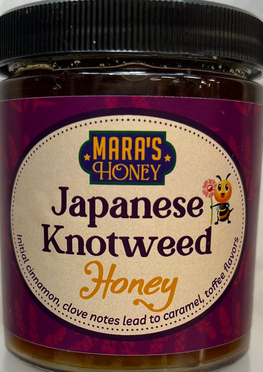 NY Japanese Knotweed Honey