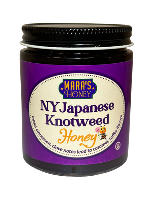 NY Japanese Knotweed Honey