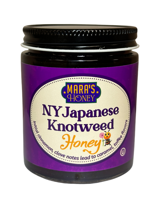 NY Japanese Knotweed Honey